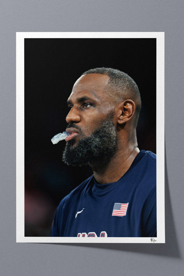 Lebron James - Royal Guard